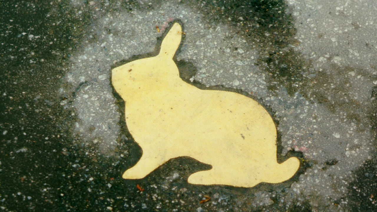 “Kaninchenfeld” (Rabbit Field), Karla Sachse, 1999